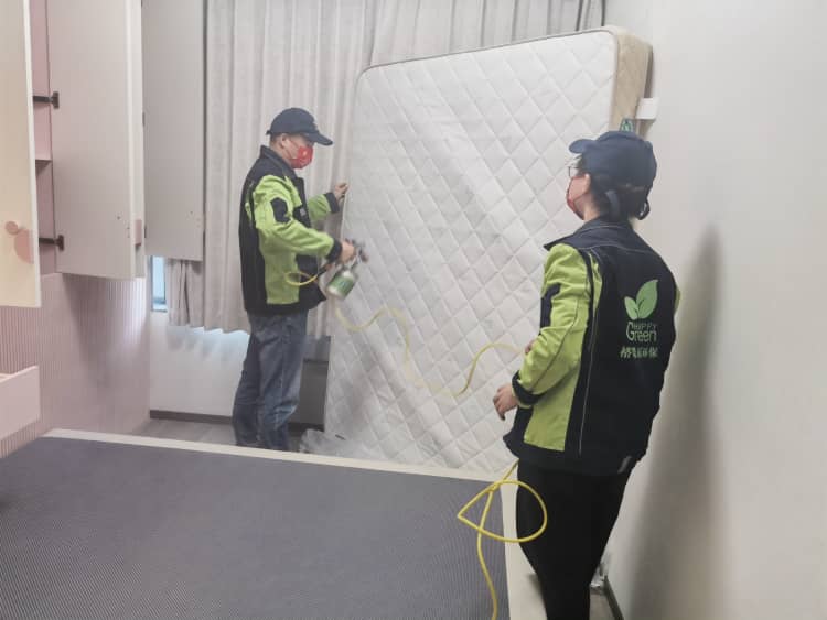 武漢辦公室除甲醛！選格瑞樂冇得錯